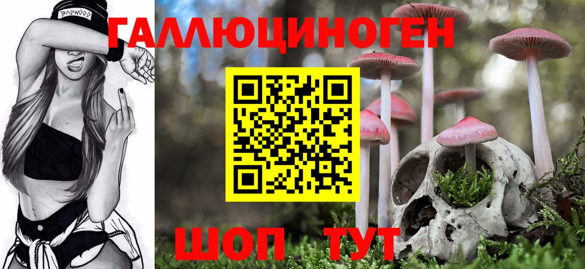 Галлюциногенные грибы ЛСД  Вход с VPN  наркота  Кудымкар  Галлюциногенные грибы ЛСД 